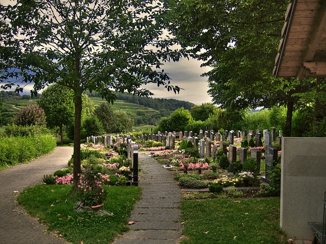 cemetery-230143_640